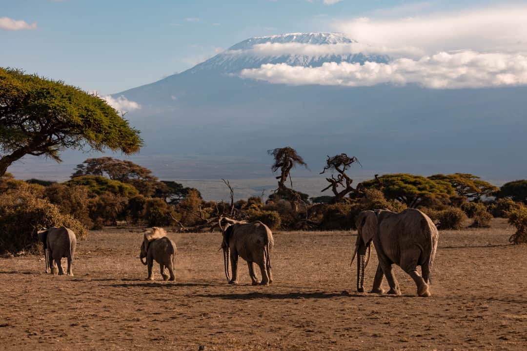 Tanzania