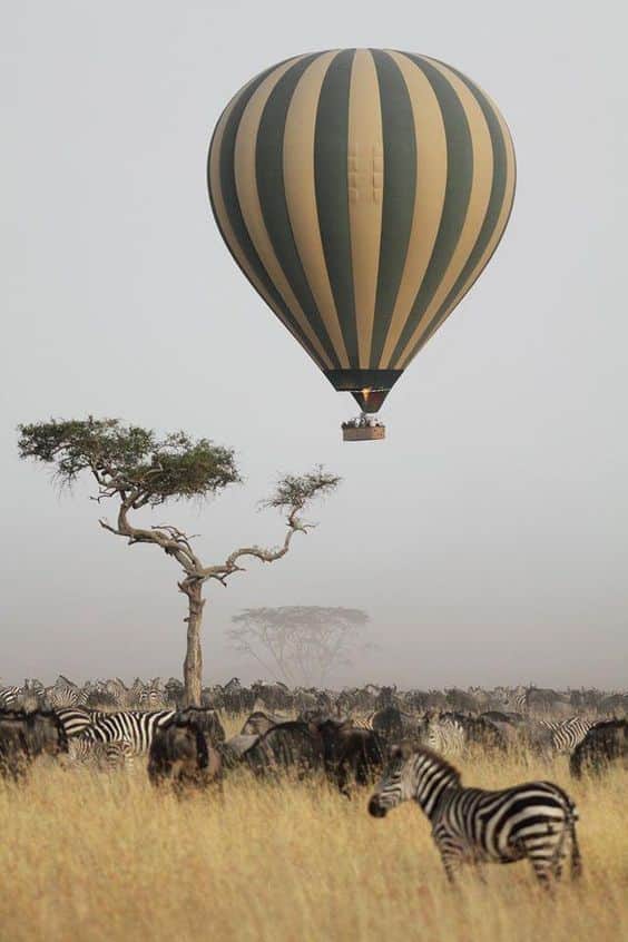 4-Day Luxury Honeymoon Safari with Balloon Experience