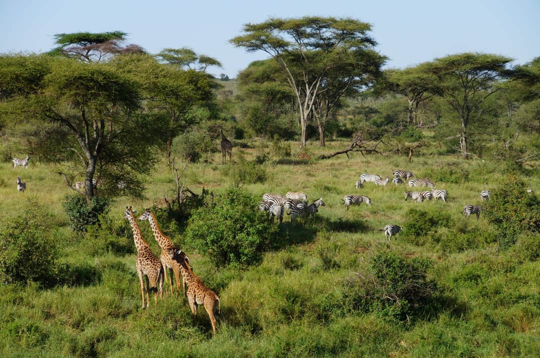 4-Day Whispers of Love in the Wild photo 15