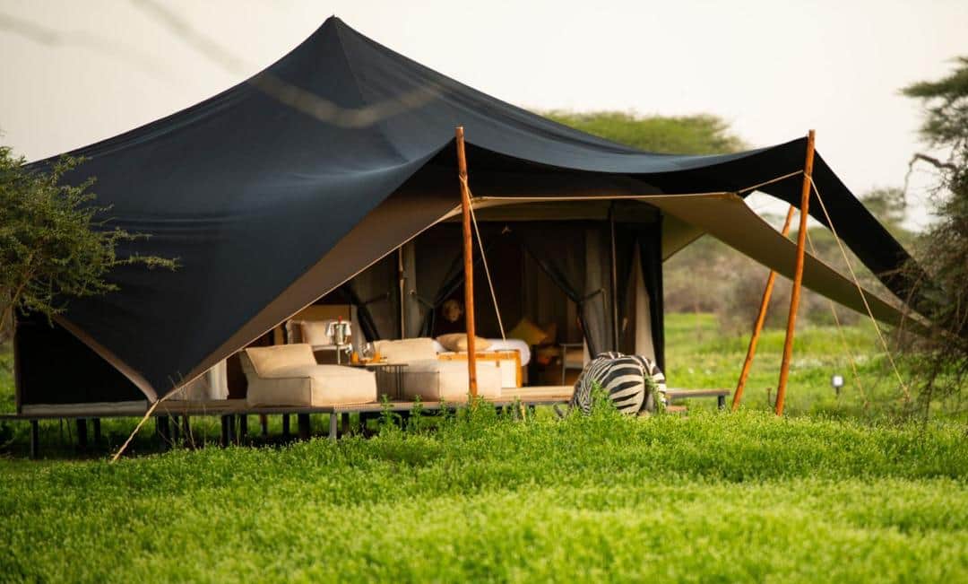 6-Day The Great Serengeti Migration Safari photo 3