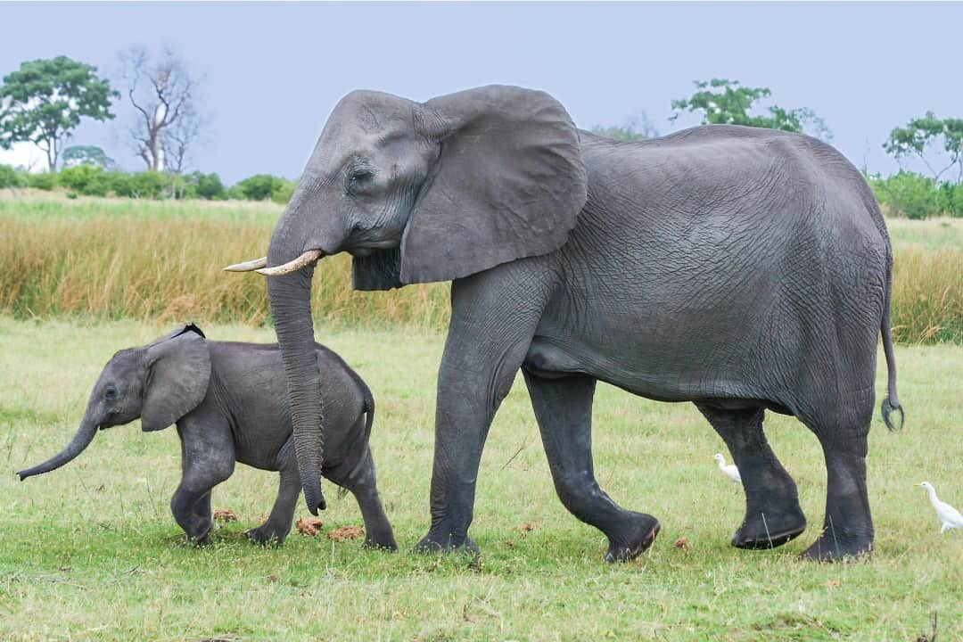 ARUSHA – TARANGIRE NATIONAL PARK – KARATU