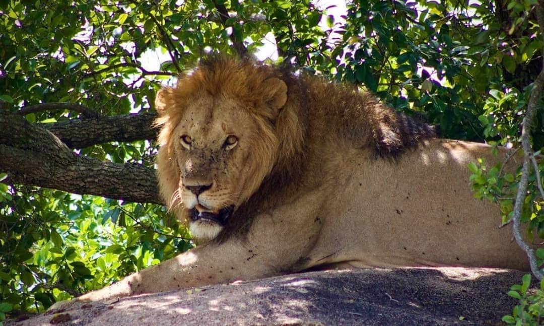 Sambala Tours photo 7