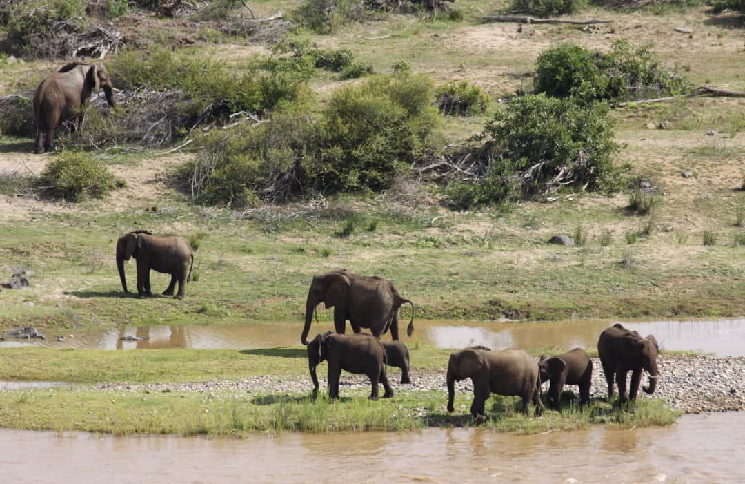 Das rosafarbene Paradies des Lake Nakuru