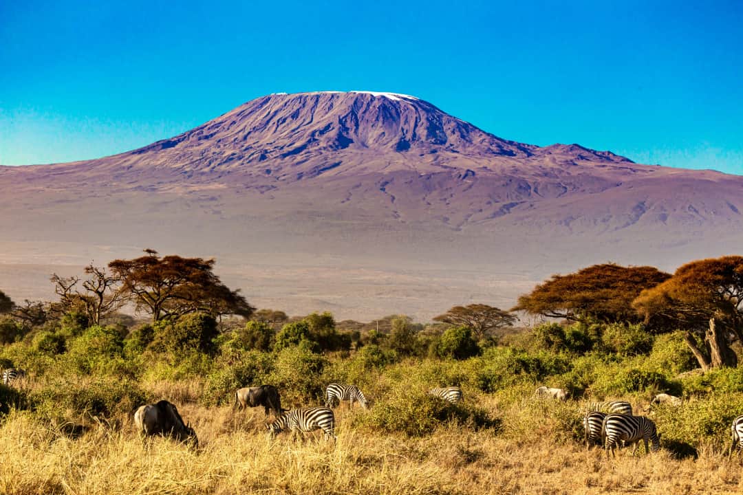 Ascension du Kilimandjaro par la route Lemosho en 10 jours