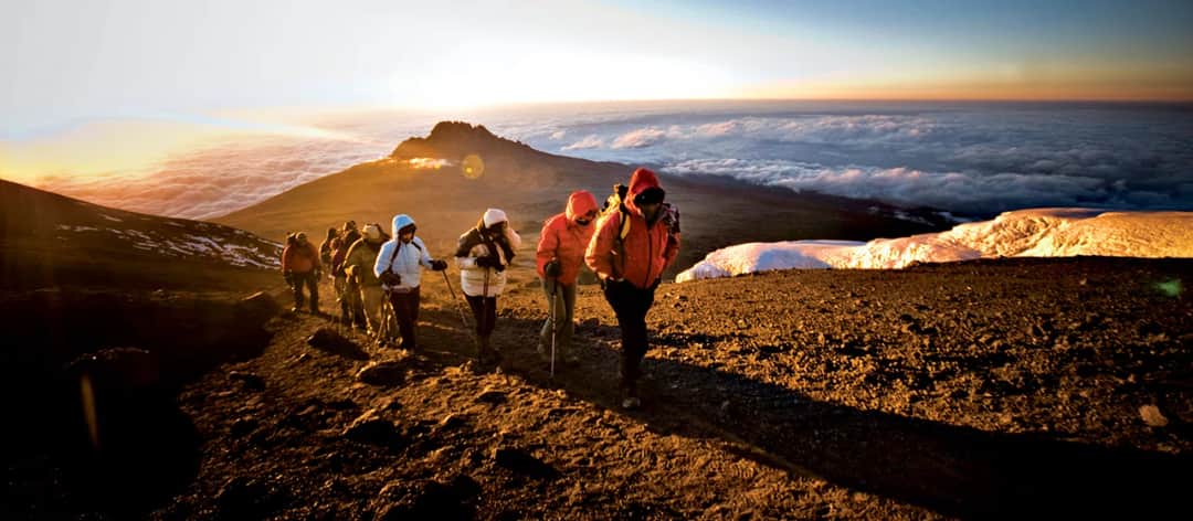 Wildlux Expeditions LTD photo 1