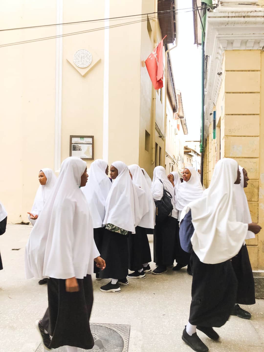 Dar es Salaam to Stone Town Historical and Cultural Student Tour