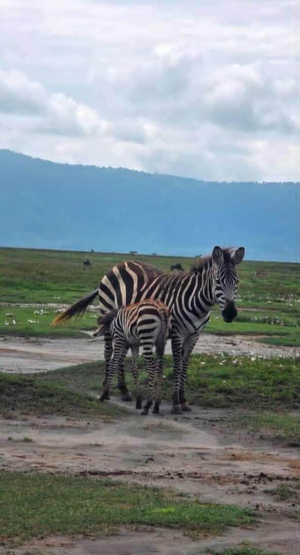 Sambala Tours photo 11