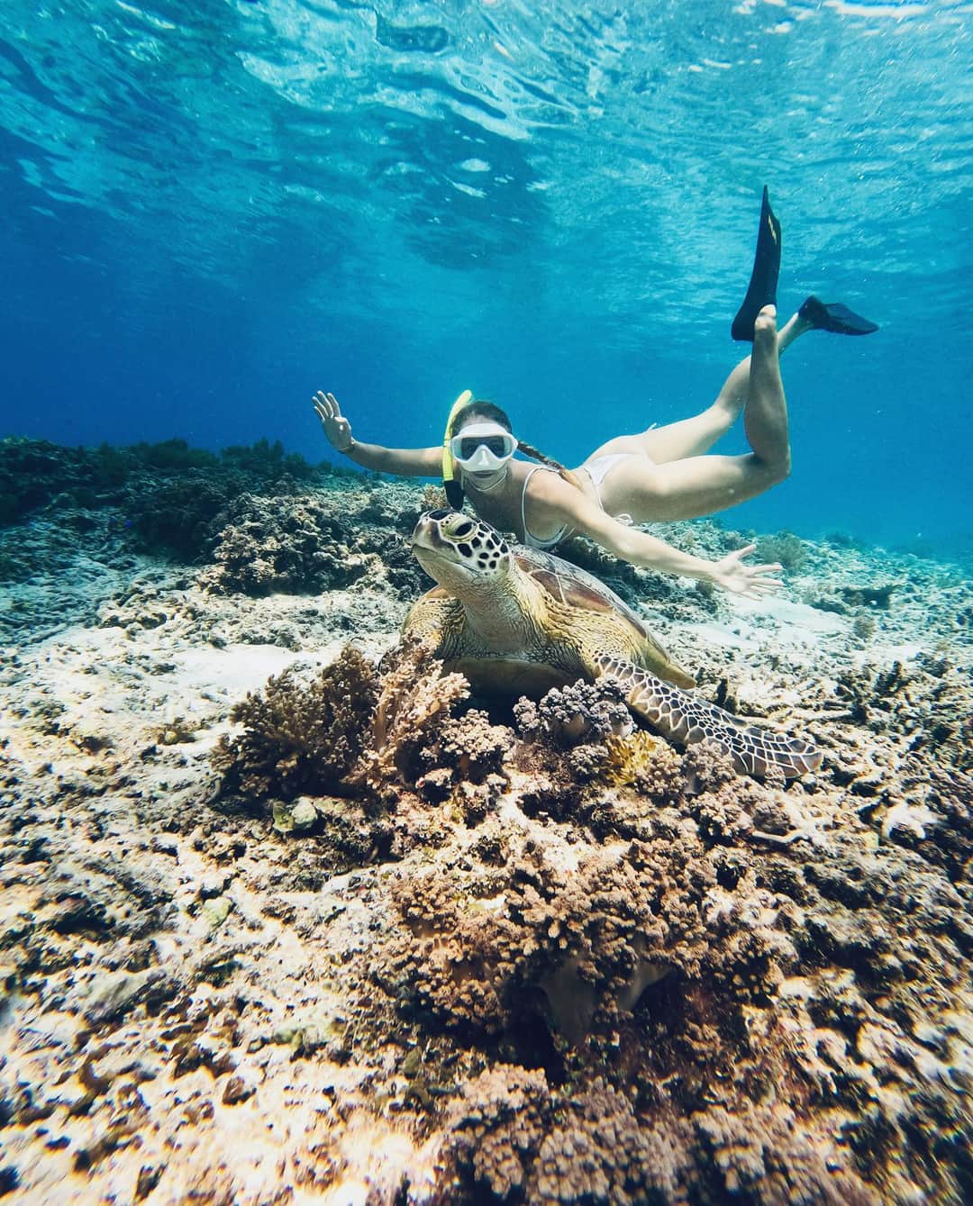 1-Day Zanzibar Snorkeling Day Trip