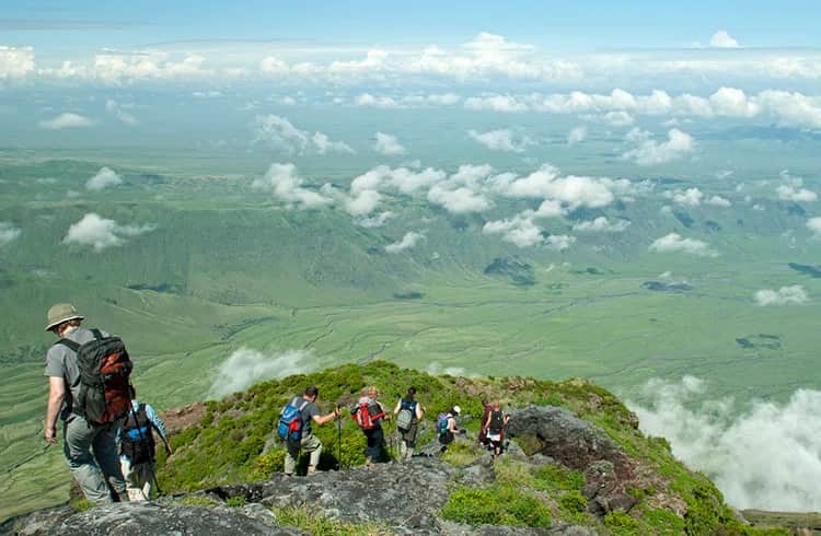 Wildlux Expeditions LTD photo 3