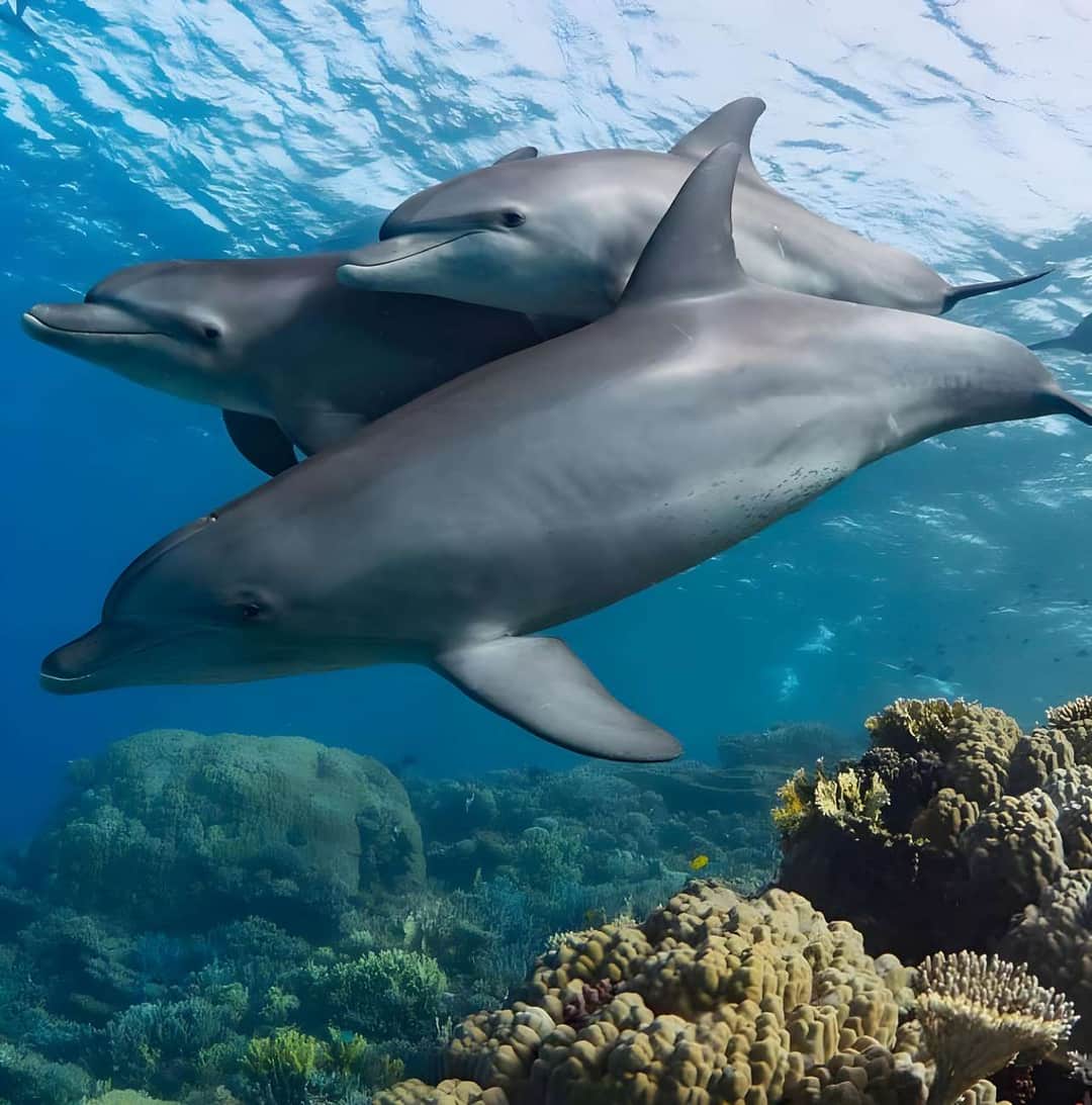 5-Day ZANZIBAR UNFORGATABULE ADVANTER photo 2