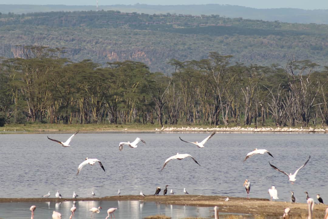 Arrival and Journey to Lake Eyasi