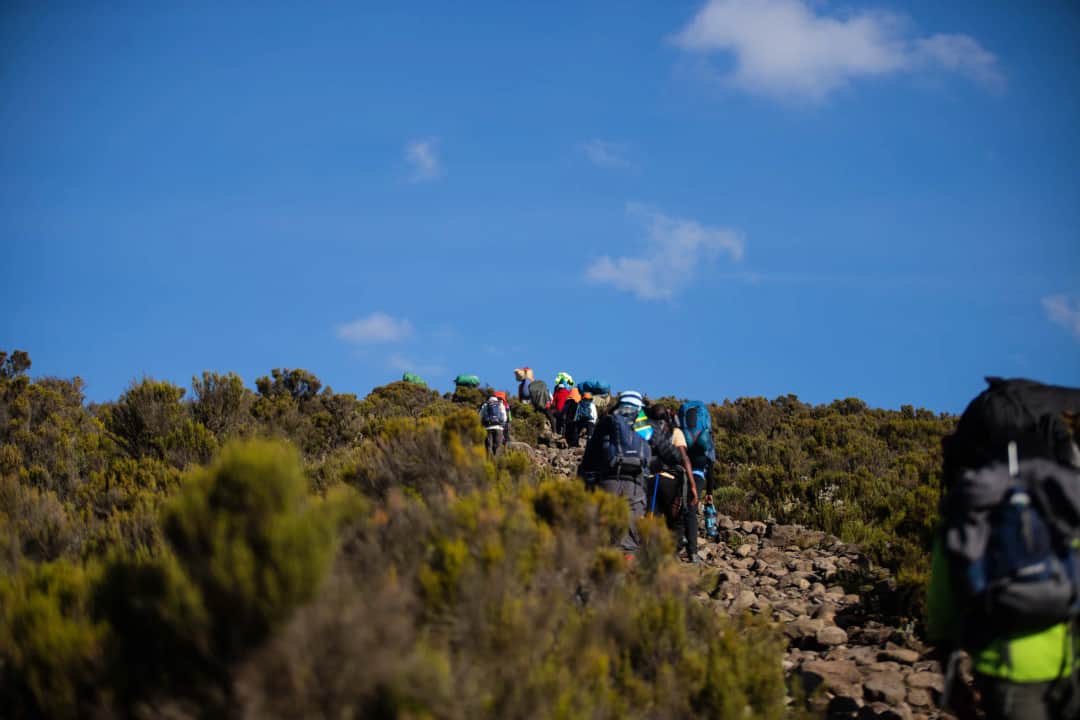 MARANGU GATE (1,860 M) – MANDARA HUT (2,720 M)