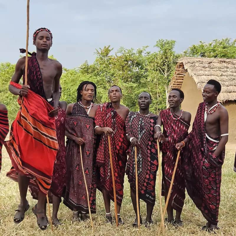 Dar es Salaam to Mikumi and Maasai Village