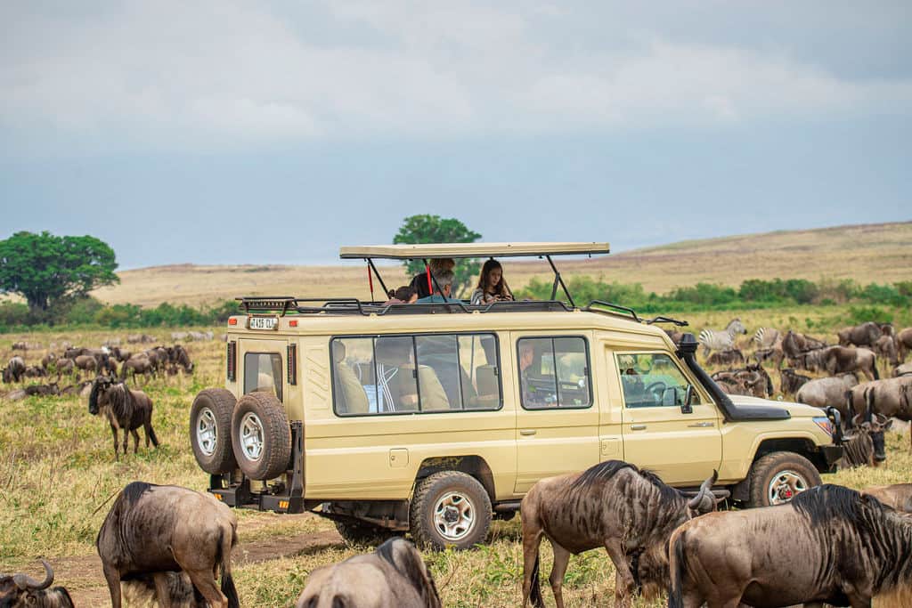 Full-Day Serengeti Safari – Discover Amazing Wildlife