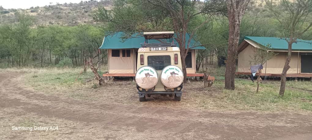 4-Day Tanzania Safari and Camping Adventure photo 3