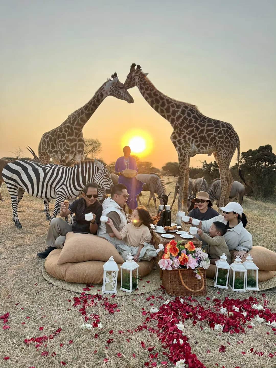 1-Day Serval Wildlife Sanctuary Trip photo 2