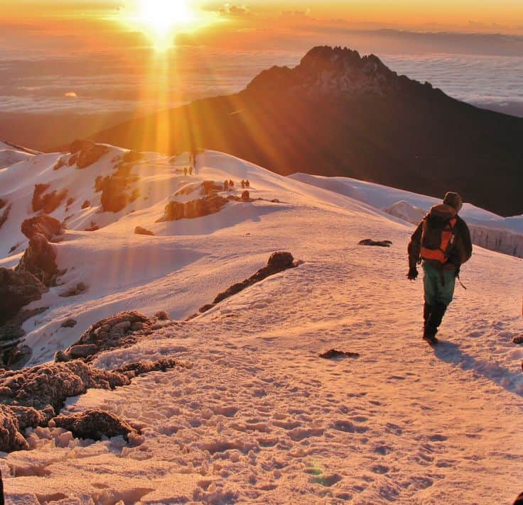 8-Day Encounter the Big 5, Mt Kilimanjaro & Coffee Tour photo 8