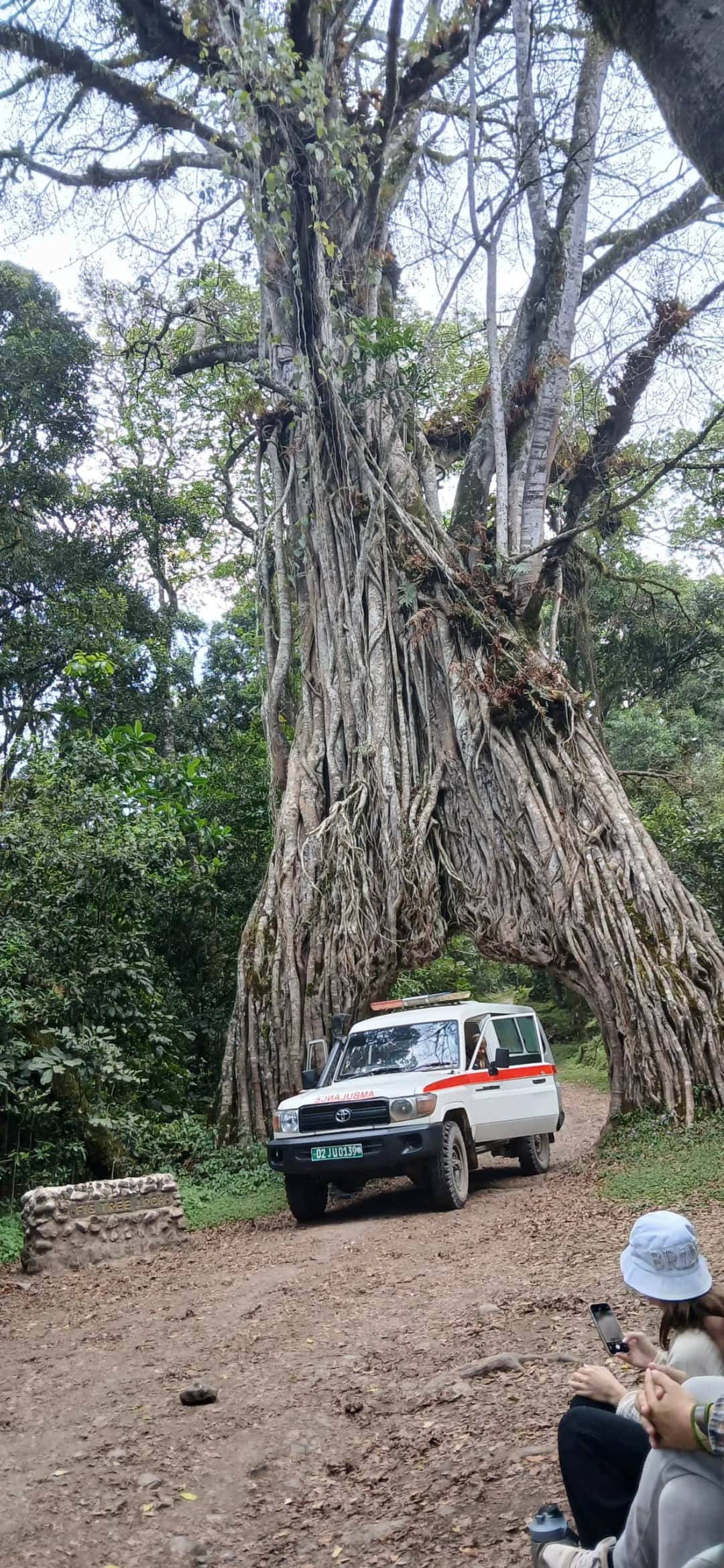 3-Day Mount Meru Climbing Adventure photo 2