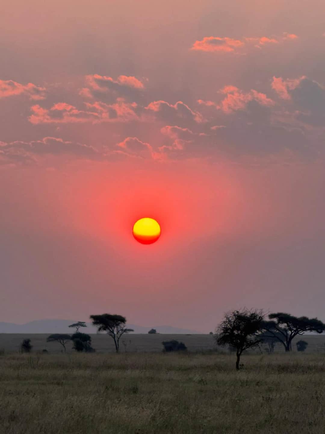 3-Day The Calving Migration Zanzibar to Ndutu photo 4