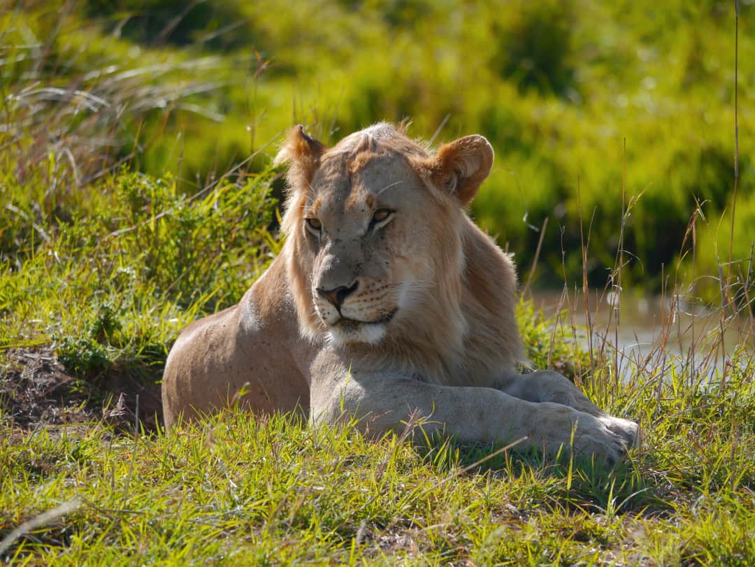 Lake Eyasi to Ngorongoro Highlands