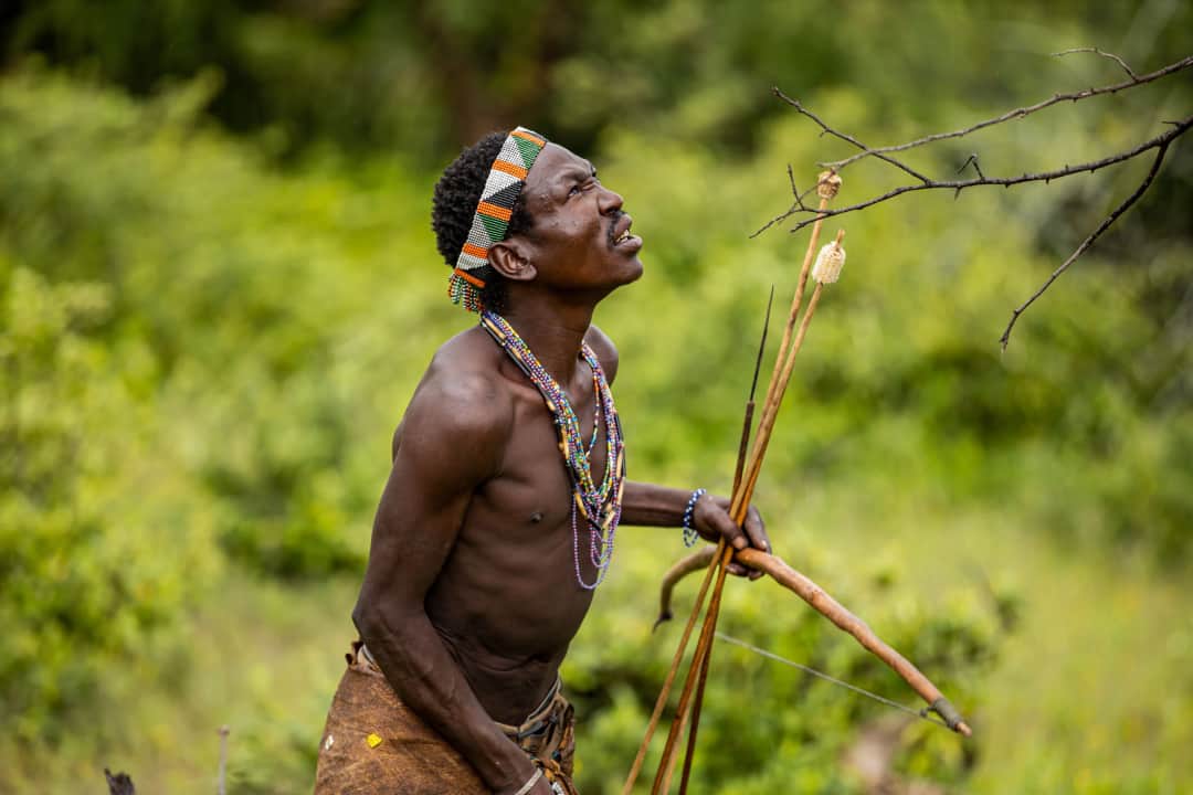 Hadzabe Hunter-Gatherer Experience and Datoga Village