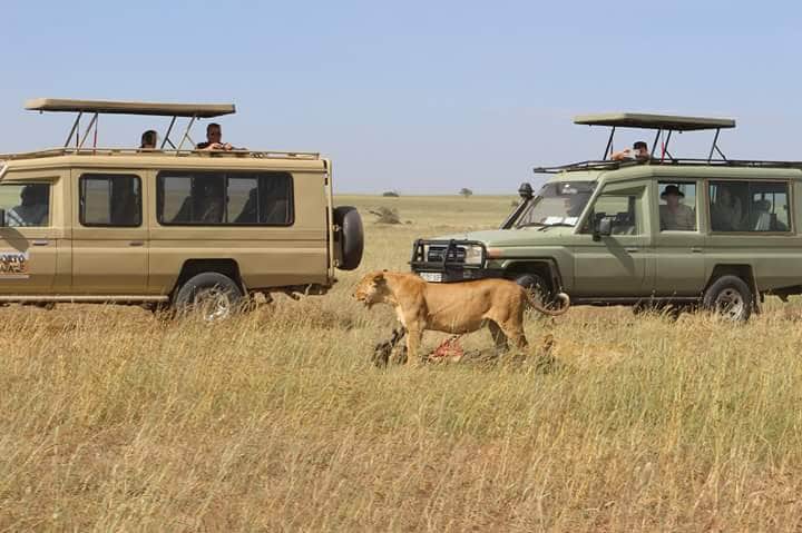 4-Day Serengeti Migration & Ngorongoro Safari photo 4