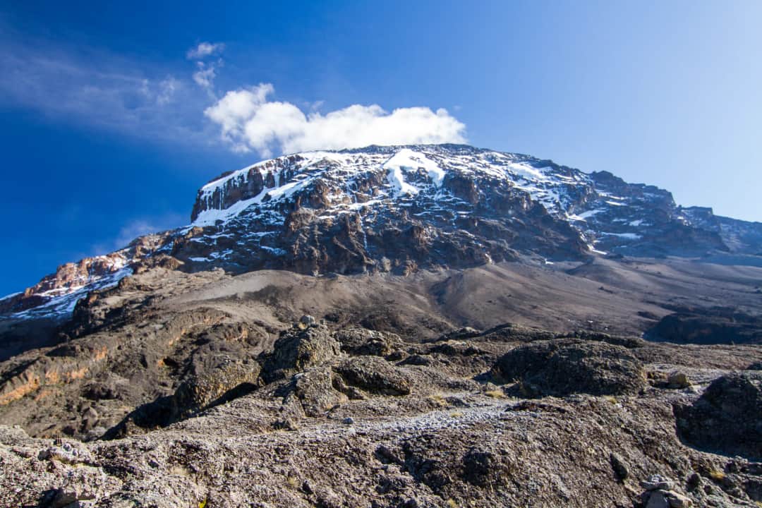 1-Day Mount Kilimanjaro Climbing by car Day Trip photo 4