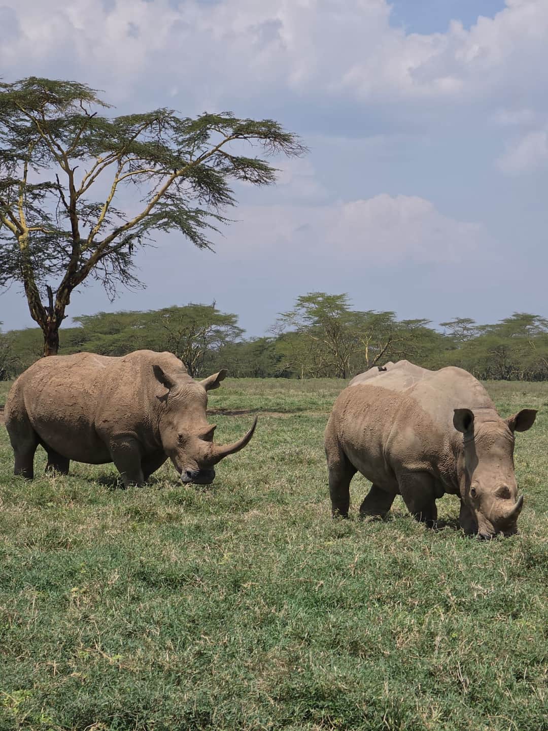 11-Day Kenya and Tanzania Safari