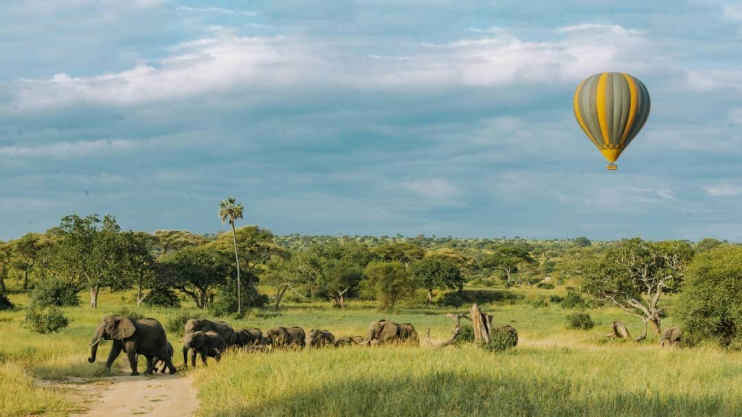 Safari ya Siku 5 ya Fungate ya Kifahari kwa Ndege photo 6