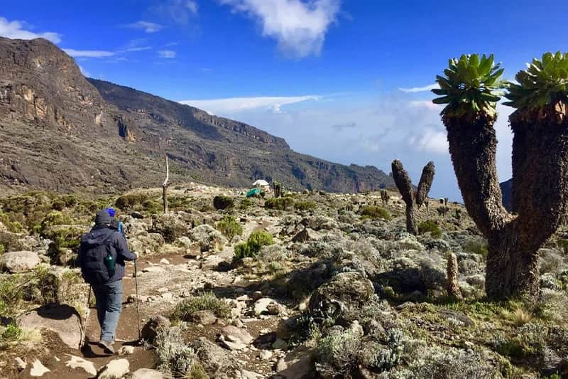 Nature Pulse Expeditions photo 6