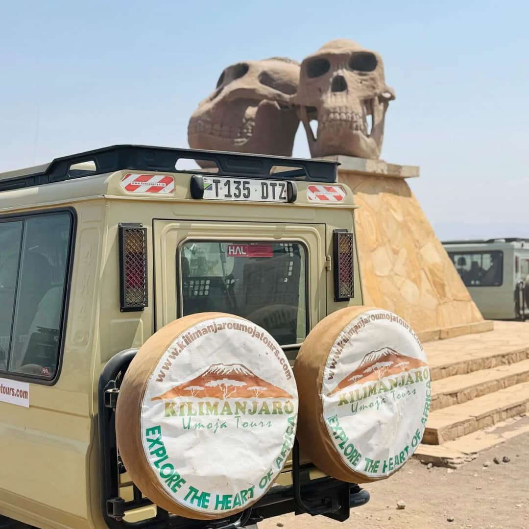Serengeti to Ngorongoro Highlands – Scenic Wildlife Journey