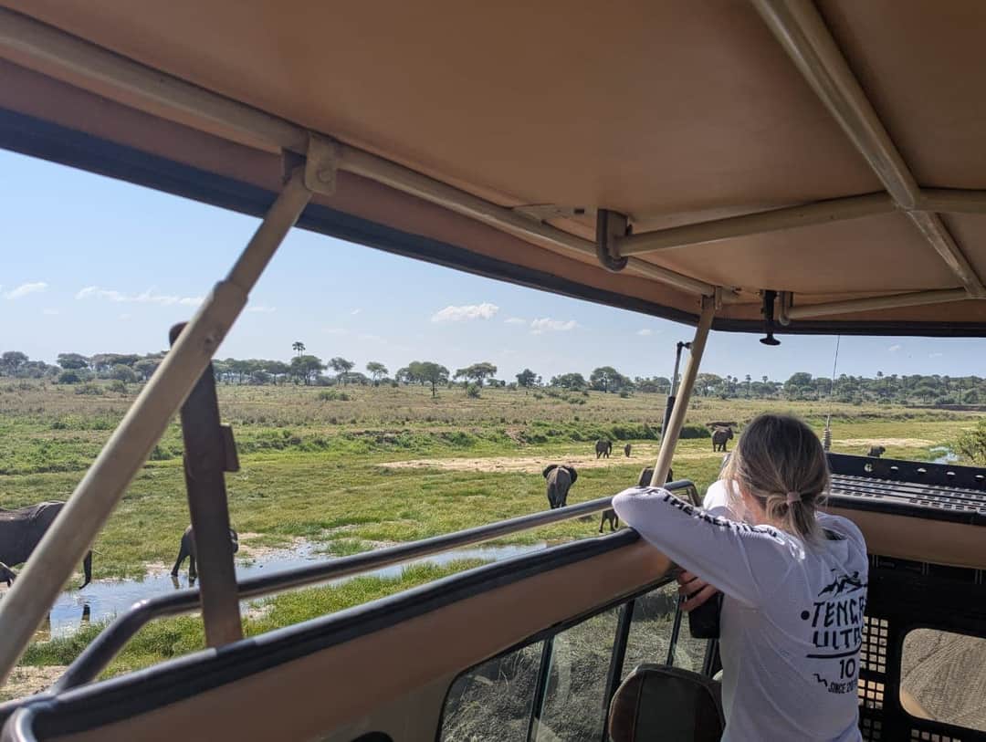 Swahili Safari Escape photo 10