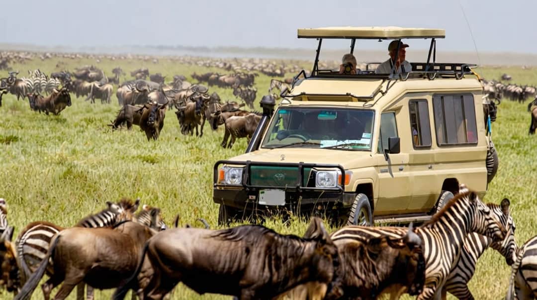 TANZANIA DAILY TOURS & SAFARI photo 1
