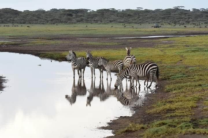 4-Day Lodge Safari: Tarangire, Serengeti & Ngorongoro