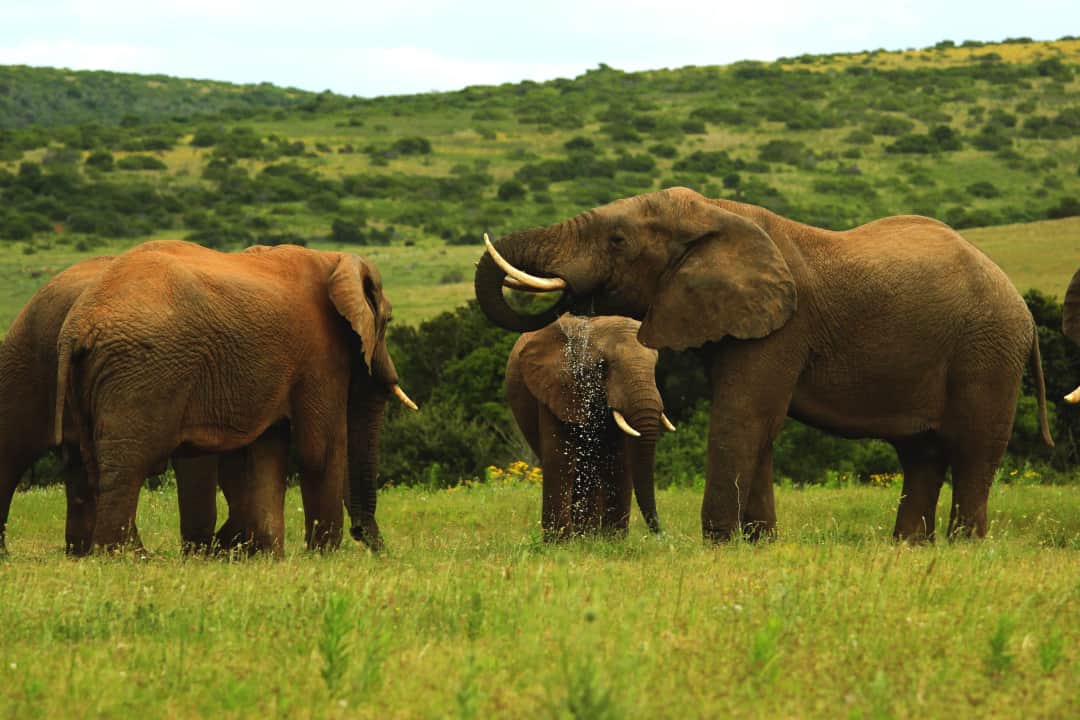 3-Day Tarangire, ngorongoro and manyara photo 2