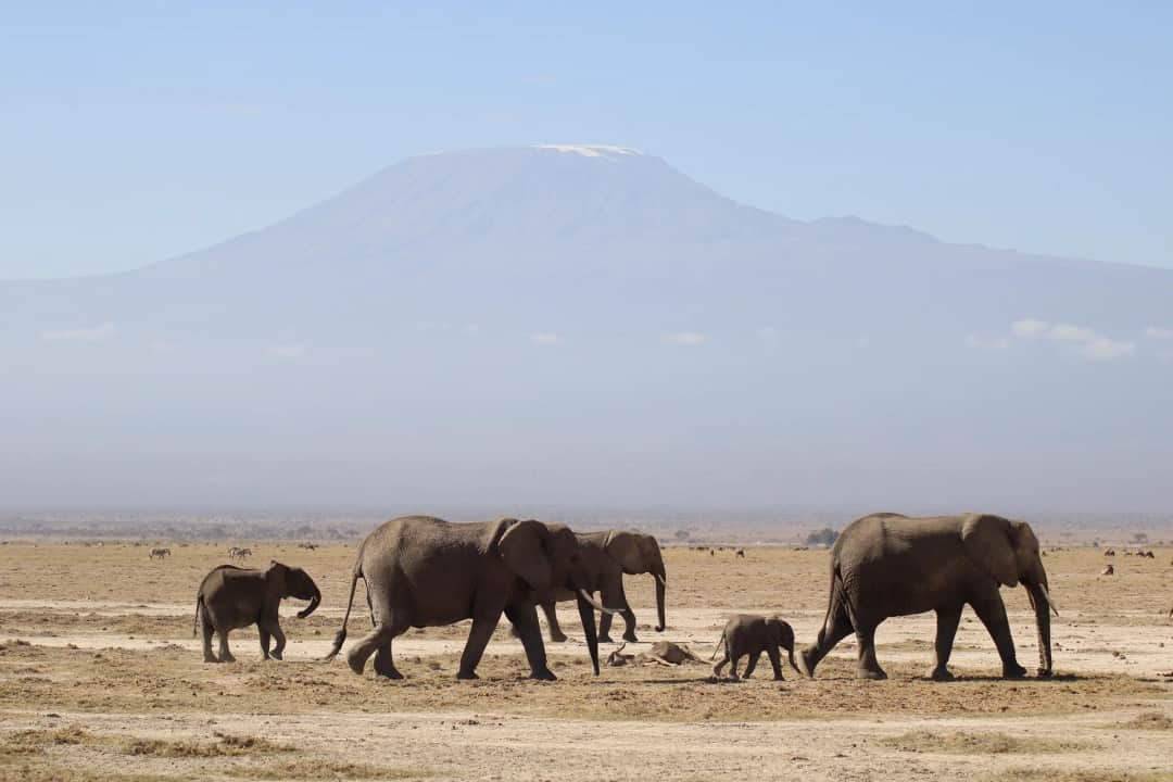 5-Day Tarangire, Serengeti & Ngorongoro Crater Safari