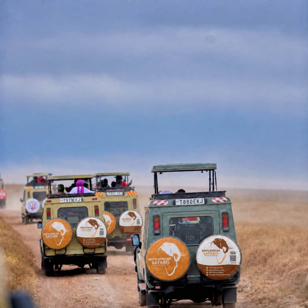 BEN’S AFRICAN SAFARIS photo 1