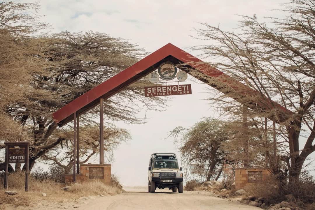 Tarangire to Serengeti National Park – Into the Wild