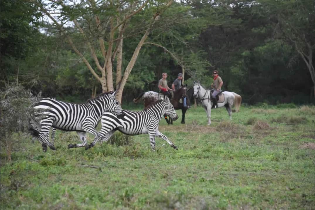 Scenic Horse Riding Day Trip
