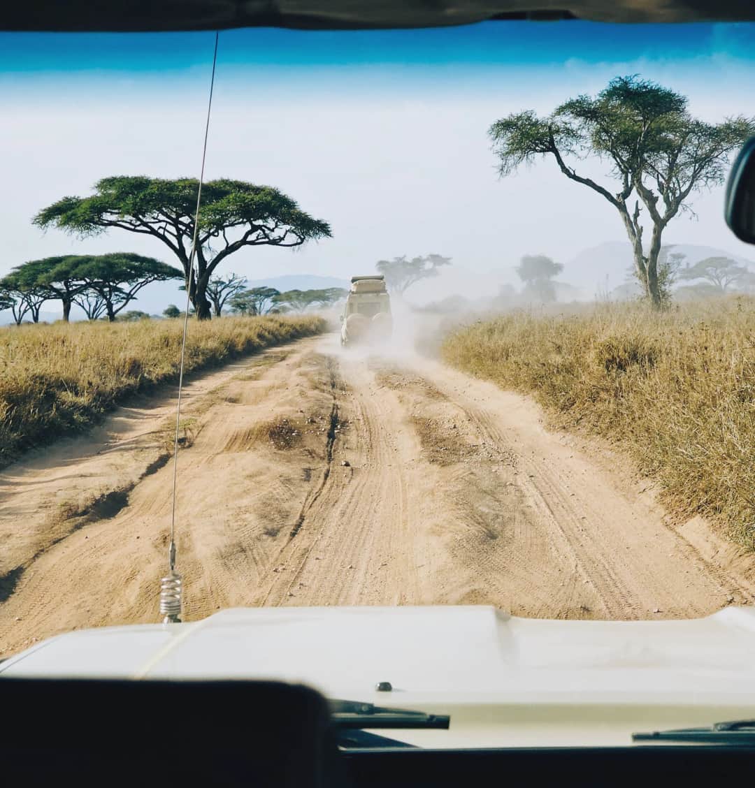 Sentio Safari photo 35