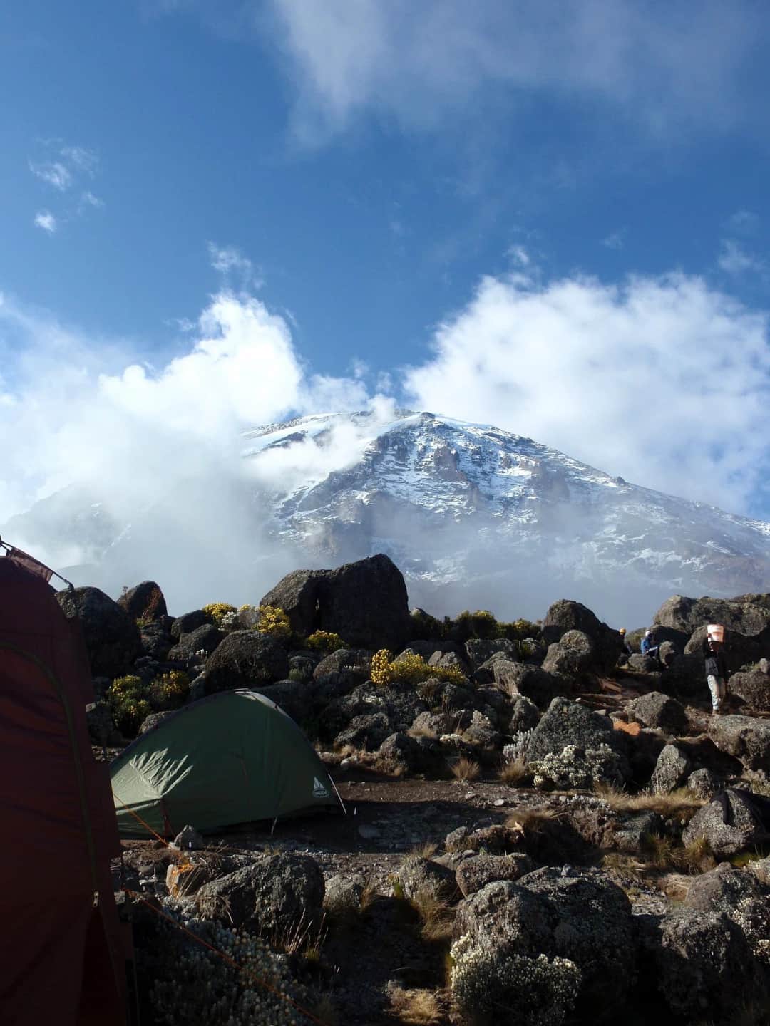 8-Day Lemosho Route Kilimanjaro Climb photo 1