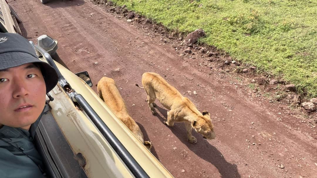 Swahili Safari Escape photo 13