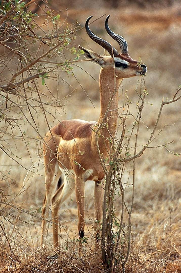 Sambala Tours photo 4