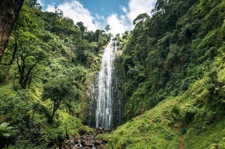 3-Day Discover Tanzania Tarangire, Ngorongoro & Materuni photo 6