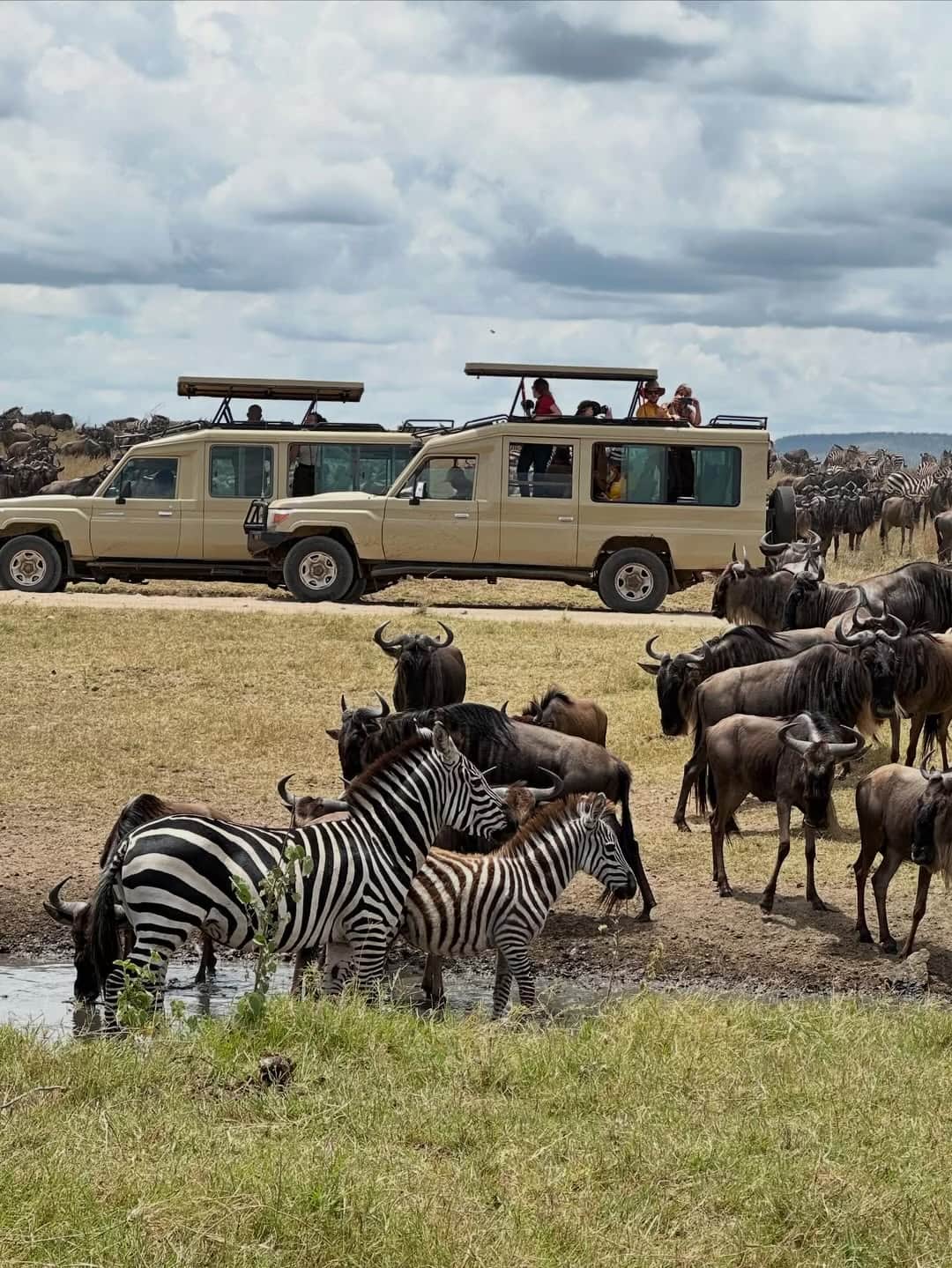 BEN’S AFRICAN SAFARIS photo 6