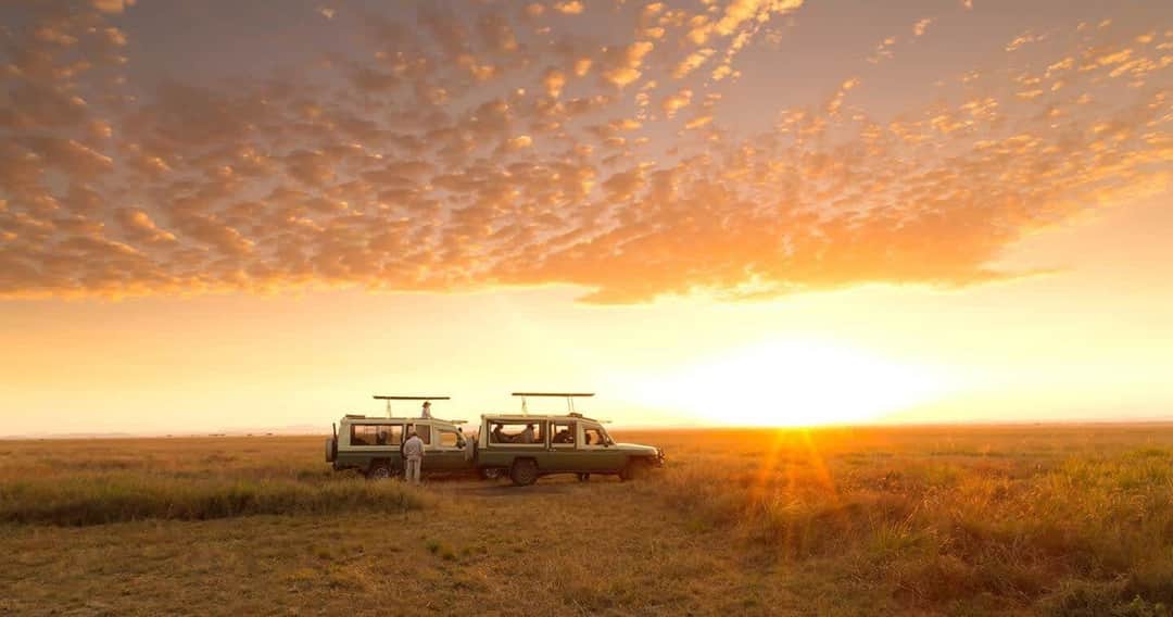 Serengeti Big Five Wildlife Adventure