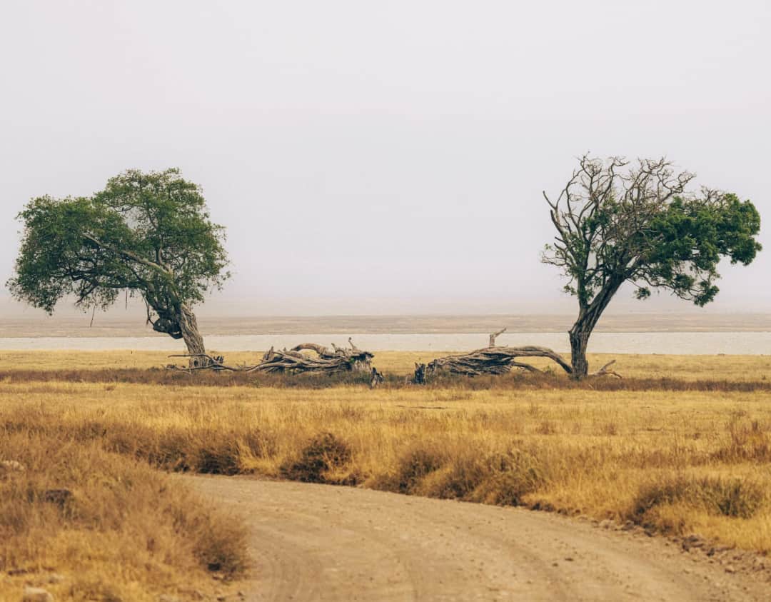Sentio Safari photo 21