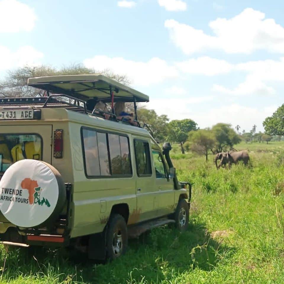  Leave Arusha – Tarangire National Park