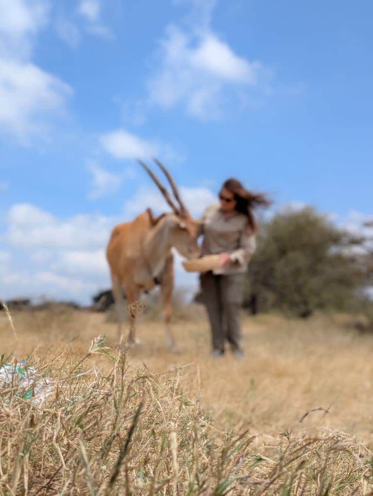 4-Day Tarangire, Serengeti and Ngorongoro Safari photo 2