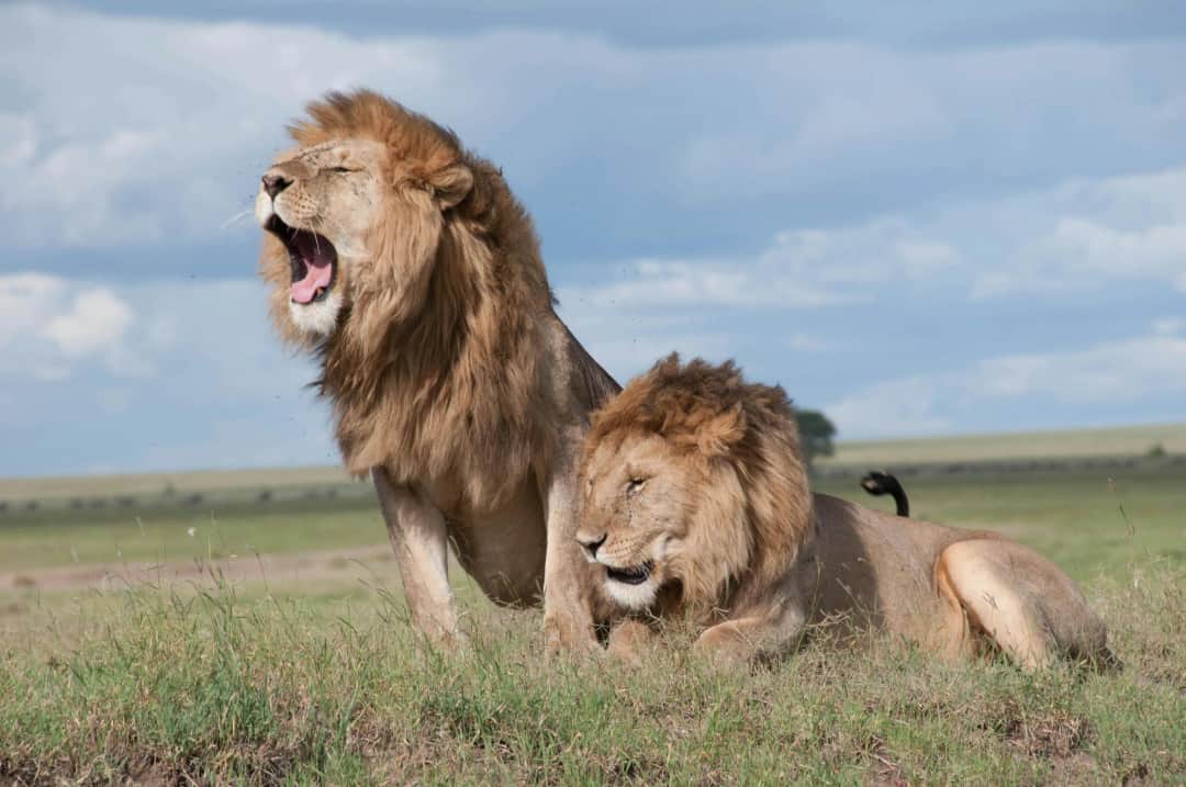 5-Day  Tarangire, Serengeti & Ngorongoro Safari photo 1